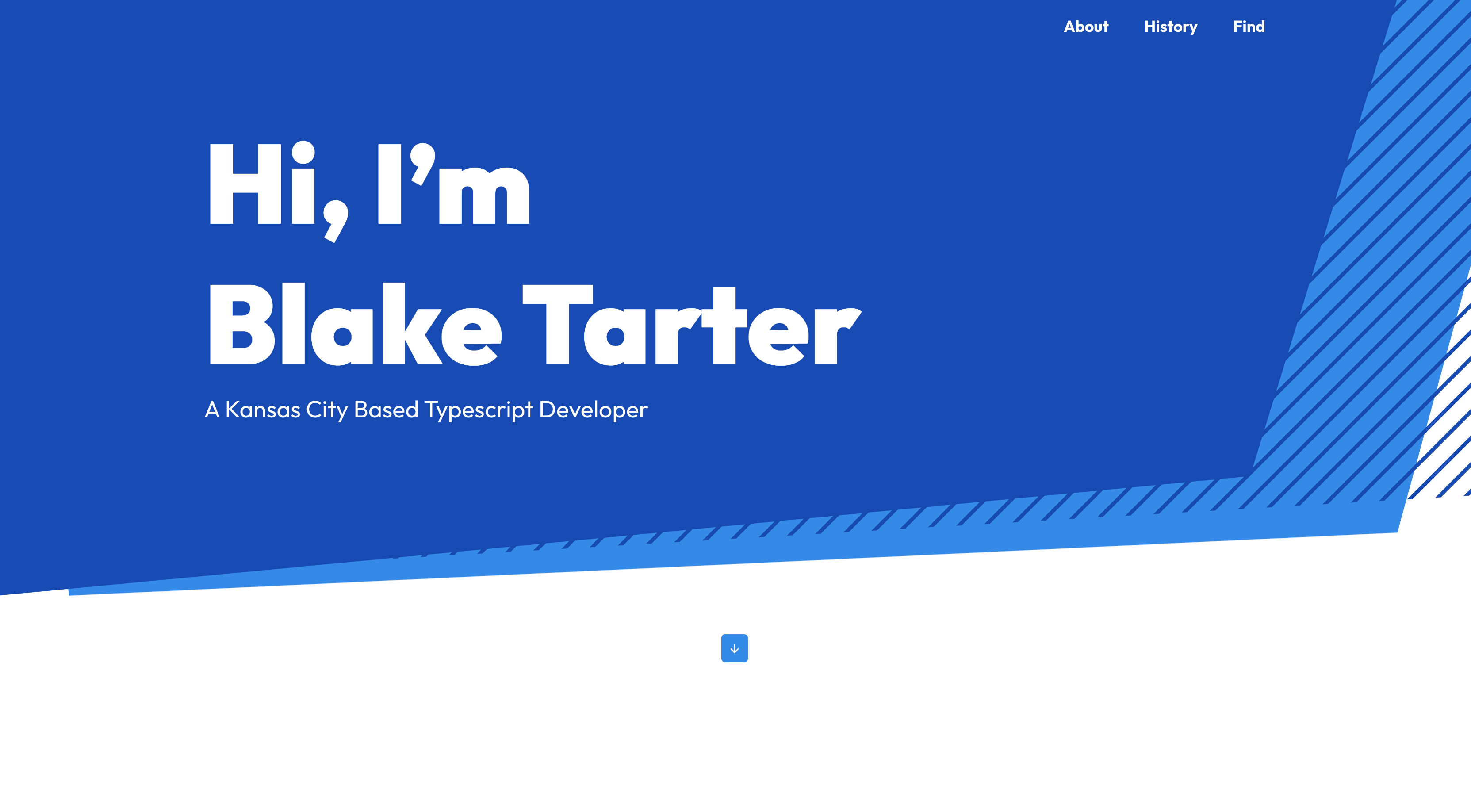 Screenshot of blaketarter.com